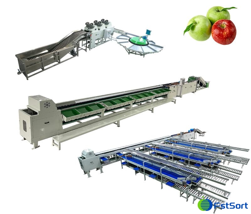 images/1741675985852cost of apple grading machine.jpg